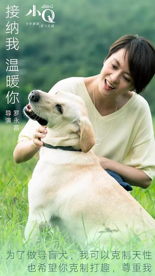 购买假加拿大签证